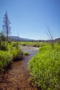 Stream flowing through a meadow Rocky Mountain National Park, forested mountains in distance Royalty Free Stock Photo