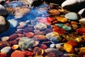 Stream flowing over colorful pebbles in a forest