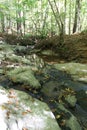 A stream flowing over large rocks in a forest in Raleigh, North Carolina