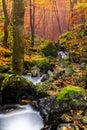 Stream flowing over mossy rocks in autumn forest Royalty Free Stock Photo