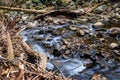 Stream flowing over rocks and branches Royalty Free Stock Photo