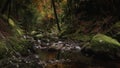 Stream flowing in rocky gorge, in autumn woodland