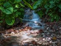 Stream flowing smoothly between rocks and big green leaves in the forest Royalty Free Stock Photo