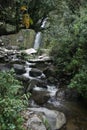 Stream flowing through surrounding forest over rocks Otavalo Ecuador Royalty Free Stock Photo