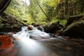 stream flowing among the trees through an autumn forest a brook over stones covered with moss conifers and deciduous from slope of Royalty Free Stock Photo