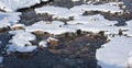 Stream flowing under snow with icicles Royalty Free Stock Photo