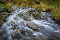 Stream with flowing water over rocks Royalty Free Stock Photo