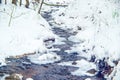 Stream flowing in winter forest Royalty Free Stock Photo