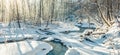 Stream flowing in winter forest Royalty Free Stock Photo