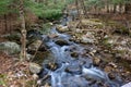 Stream flowing through the woods in early spring Royalty Free Stock Photo