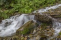 The stream flows through the bushes and rocks Royalty Free Stock Photo