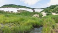 The stream flows through a green meadow. Royalty Free Stock Photo