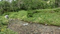 The stream flows through a green meadow. Royalty Free Stock Photo