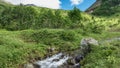 The stream flows through a green meadow. Royalty Free Stock Photo