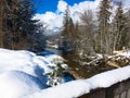 Tranquil winter landscape on the river in the forest Royalty Free Stock Photo