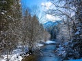 Tranquil winter landscape on the river in the forest Royalty Free Stock Photo