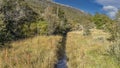 The stream flows through the meadow. Royalty Free Stock Photo