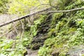 Stream flows over a rock