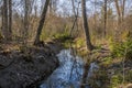 Stream in forest. Beautiful nature landscape. Trees reflection on water. Royalty Free Stock Photo