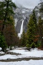 Stream and Forest with Lower Yosemite Falls in Distance Royalty Free Stock Photo