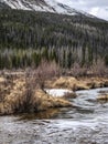 Stream by forest and mountain at national park