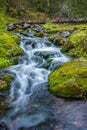 Stream in forest Royalty Free Stock Photo