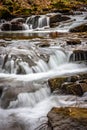 A stream in a forest somewhere in southern Poland