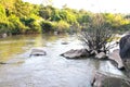 Stream in Forest Thailand