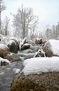 Stream in forest waterfall stones