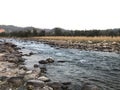 Stream in the middle of the forest