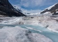 Stream of Glacial Melt on Athabasca Glacier Royalty Free Stock Photo