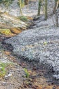 Stream going down a hill between snowy and frozen grass, few trees and wild plants