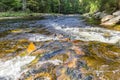 Stream going through the Sumava national park near Srni