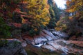 Stream in golden fall forest Royalty Free Stock Photo