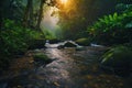 A stream gracefully flows through a dense and lush green forest, creating a mesmerizing sight, River in a rainforest bathed in the Royalty Free Stock Photo