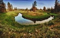 Stream in Grand Teton National Park