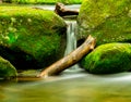 Great Smoky Mountain National Park stream Royalty Free Stock Photo