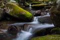Stream in The Great Smoky Mountains National Park Royalty Free Stock Photo