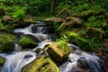 stream in green forest on summer warm days. Peak District national park