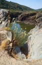 Guadiana river flows through the deep gully in schists. Pulo do