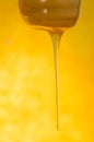 Stream of honey flows. Stream of pouring honey Royalty Free Stock Photo