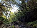 Stream in Hooleipalaoa Gulch