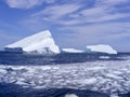 Stream of ice chunks passing in front of two large icebergs