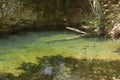 Stream in Ida Mountain, Beautiful nature. Turkey