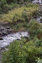 Stream in the Intag Valley Royalty Free Stock Photo