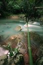 The stream in Jad Kod forest, Thailand.