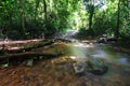 The stream in Jad Kod forest, Thailand.