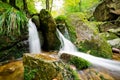 Stream in Jizera mountains, Czech Republic