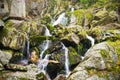 Stream in Jizera mountains, Czech Republic