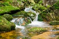 Stream in Jizera mountains, Czech Republic